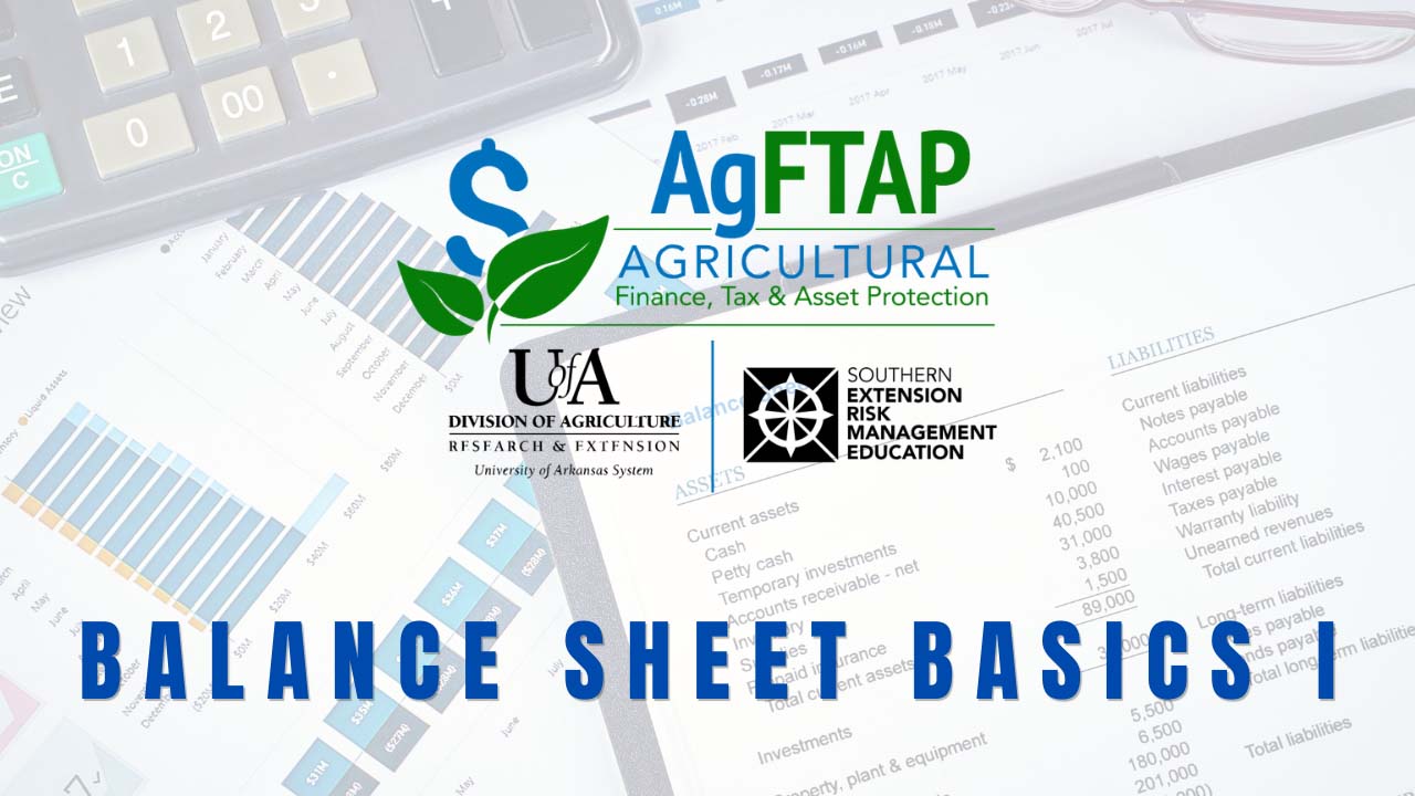 Balance Sheet Basics Part 1 Video Thumbnail