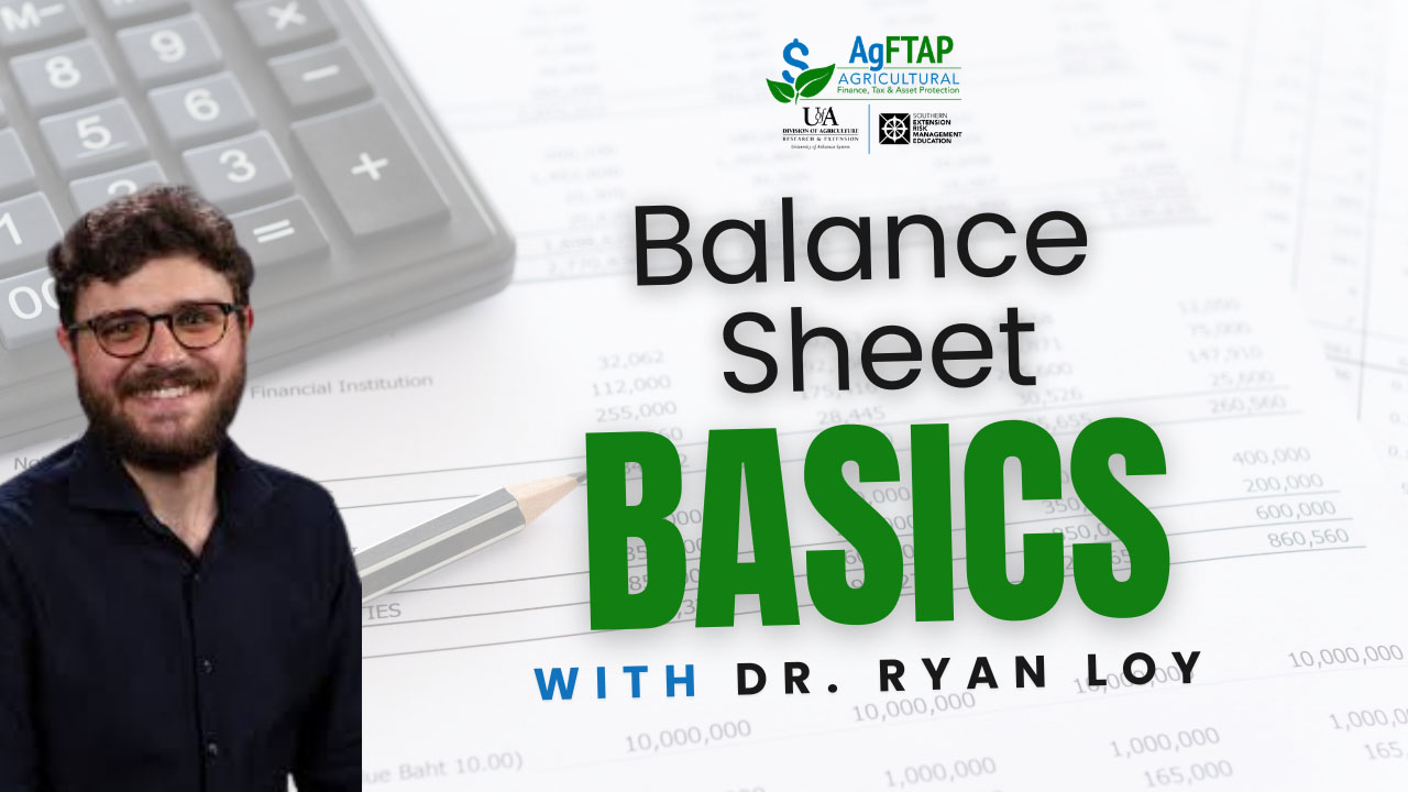 Balance Sheet Basics Part 2 Video Thumbnail