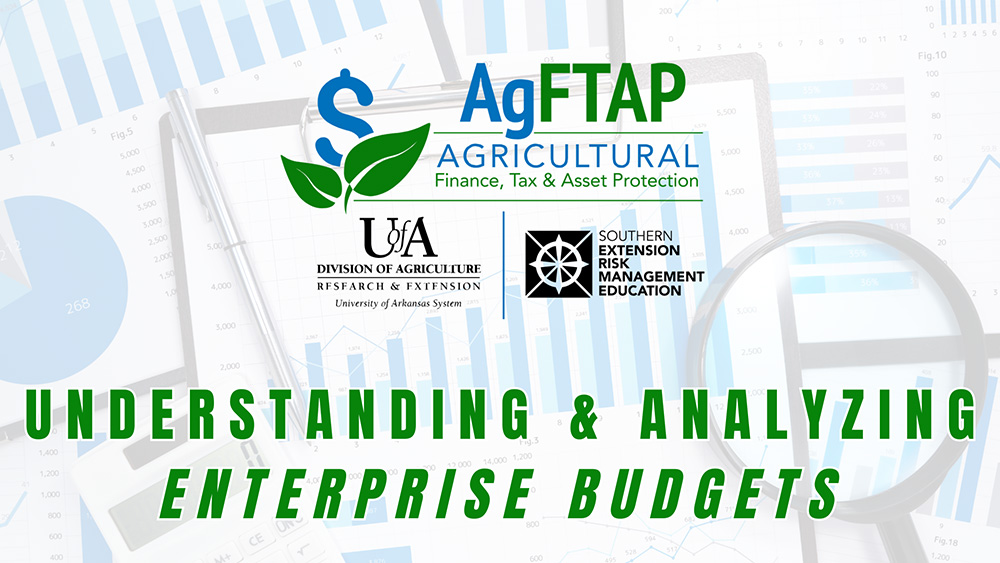 Understanding and Analyzing Enterprise Budgets Video Thumbnail
