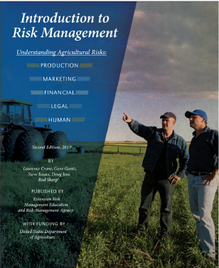Introduction to Risk Management PDF